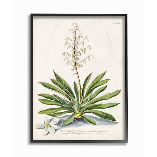 Stupell Industries Botanical Fern Illustration Wall Art in Frame